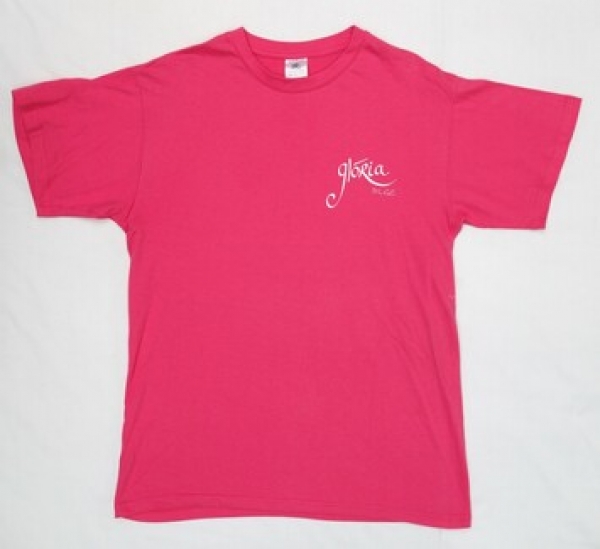 A pink t-shirt with the name GL&Oacute;RIA DLGC on the front and a large stylised shamrock with VARIOUS VOICES DUBLIN on the back. Ireland, early 21st century.