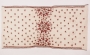 Wedding shawl from Thar desert or neighbouring lands (southern Pakistan). Late 20th century.