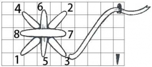 Schematic drawing of the Leviathan stitch.