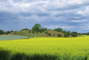 The cemetery of Valsg&auml;rde.