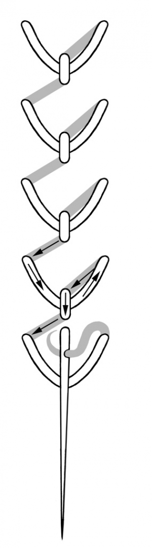 Schematic drawing of the fly stitch.