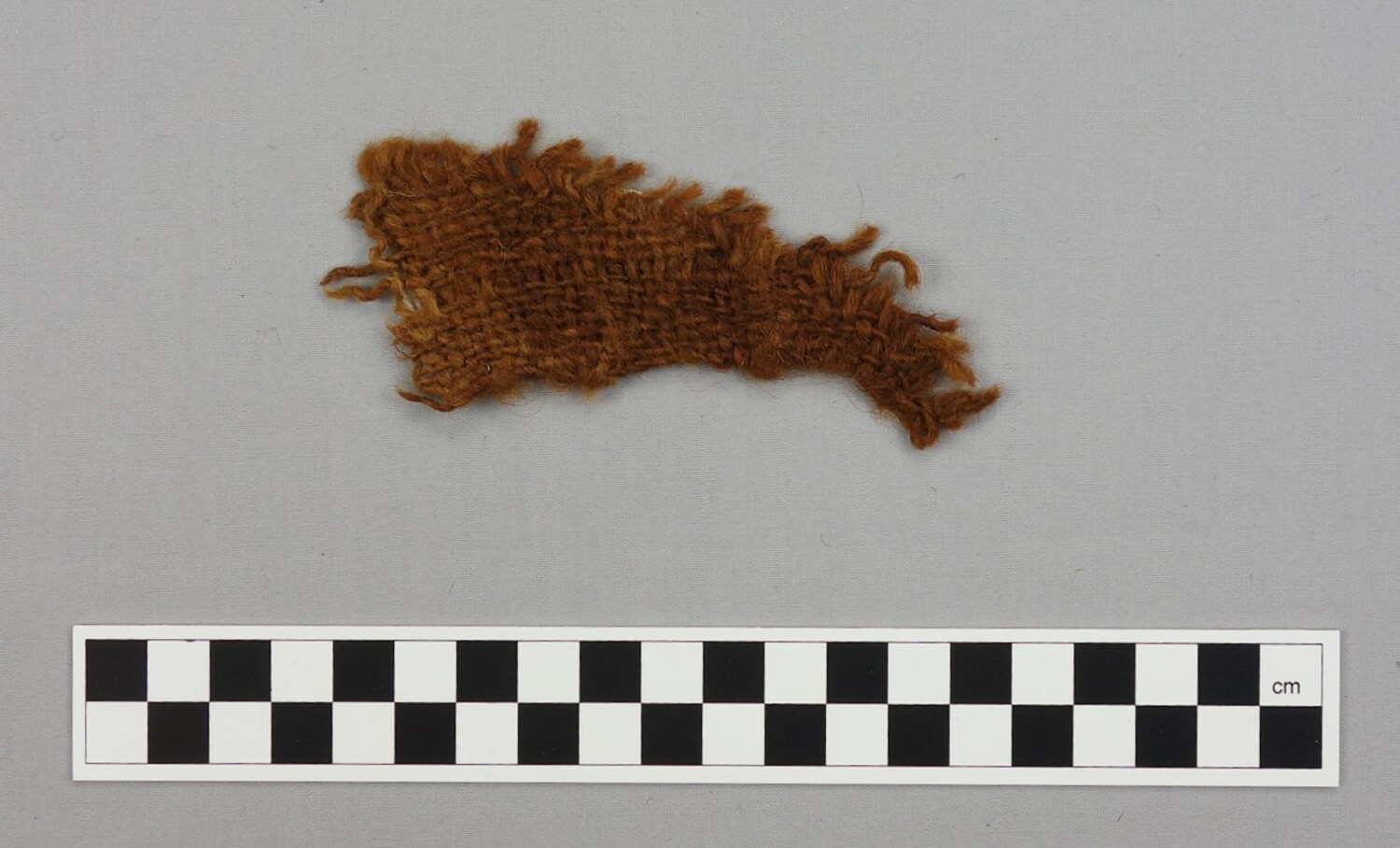 Fragment of woollen cloth from Quernmore, UK, c. 700 AD (TRC 2016.0200).