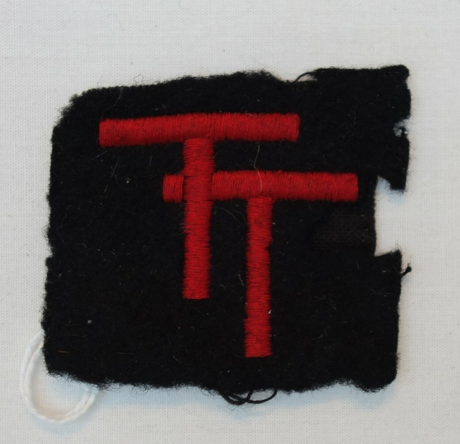 Uniform badge of the (British) Tyne and Tees regiment, c. 1944 (TRC 2023.2567.11).