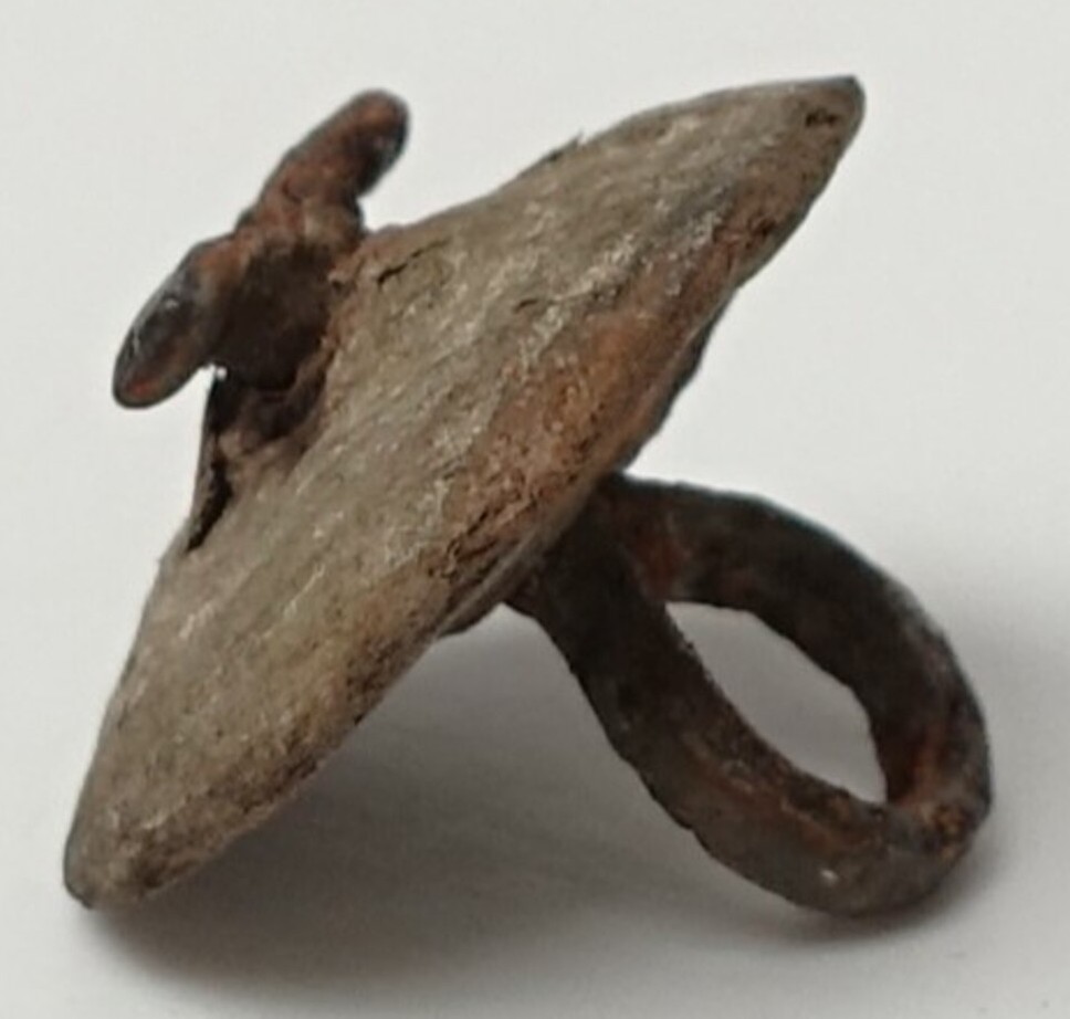 Wooden button with a metal, pinhead shank. The Netherlands, 19th century (TRC 2024.2616).