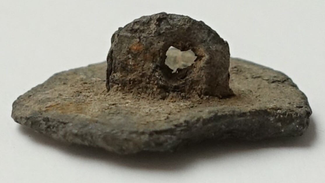 Key shank with tiny hole. Metal button TRC 2024.2625.