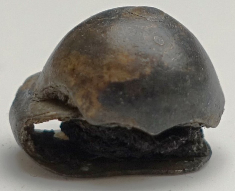 A domed metal clasp-button with two layers of dark fabric still present between the button and fastening. The Netherlands, 19th century (TRC 2024.2771).