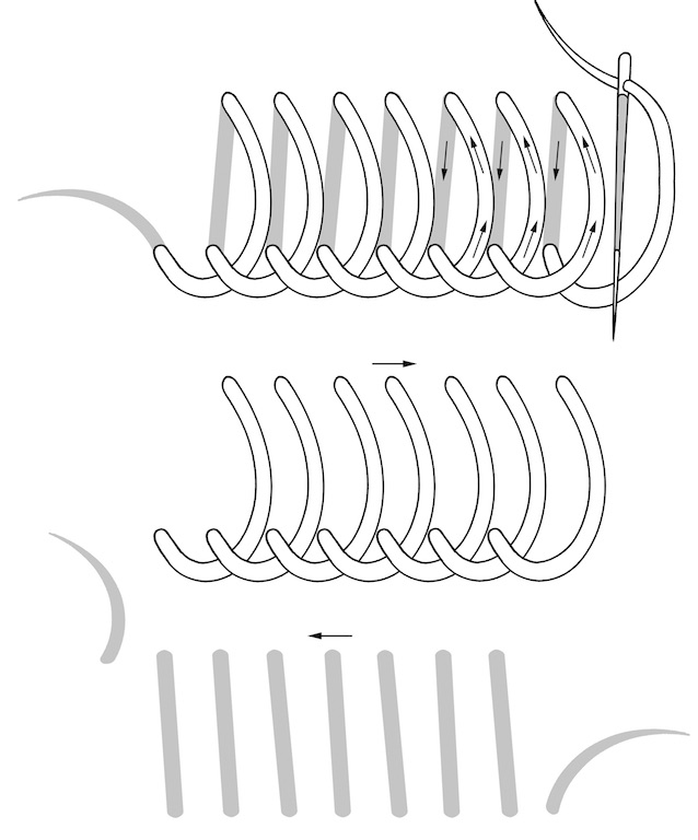 Schematic drawing of the buttonhole stitch (illustration by Martin Hense).