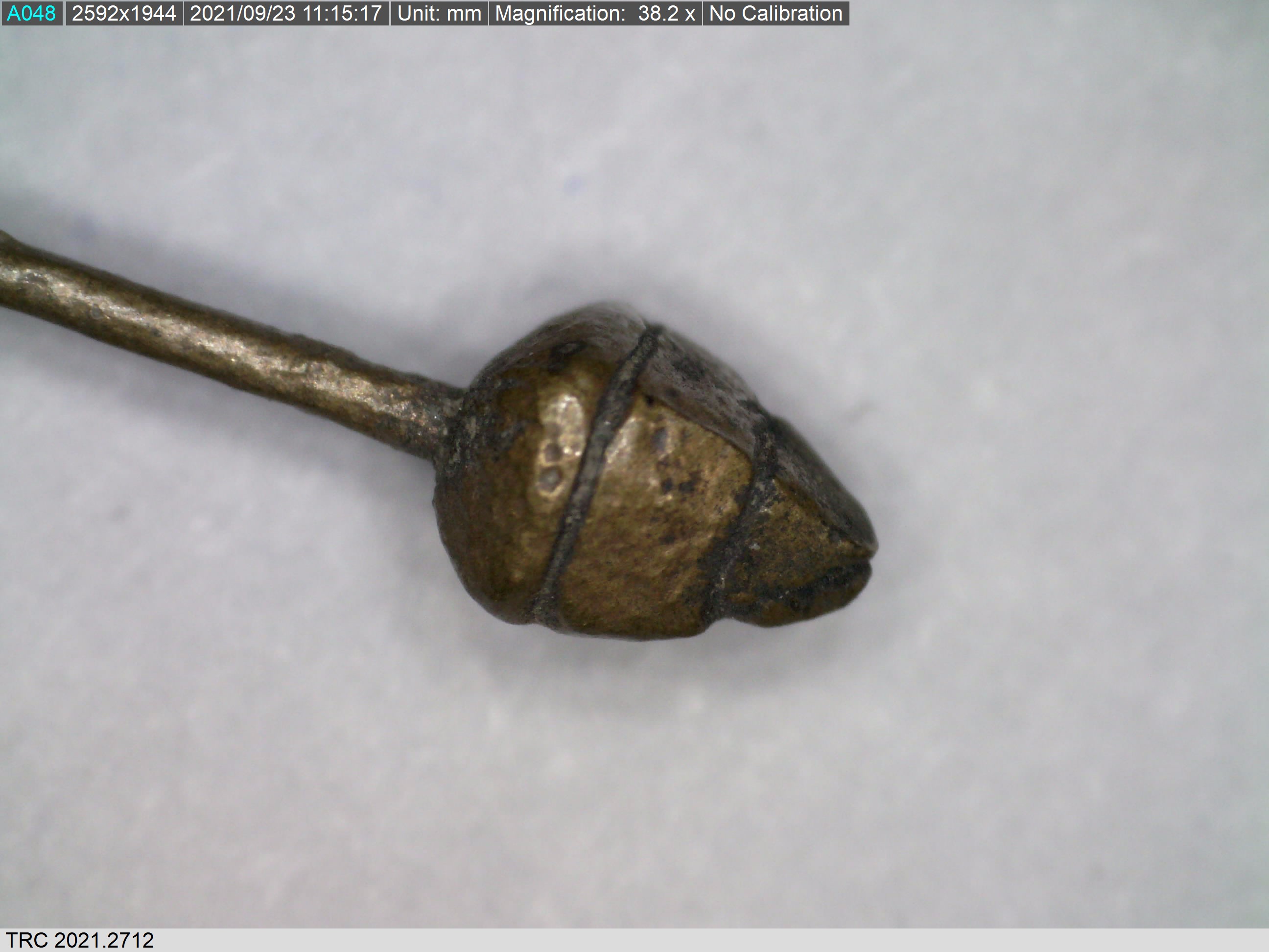 A conical wrapped pin head. Zeeland, pre-1532. 38.2 magnification, Dino-Lite microscope (TRC 2021.2712).