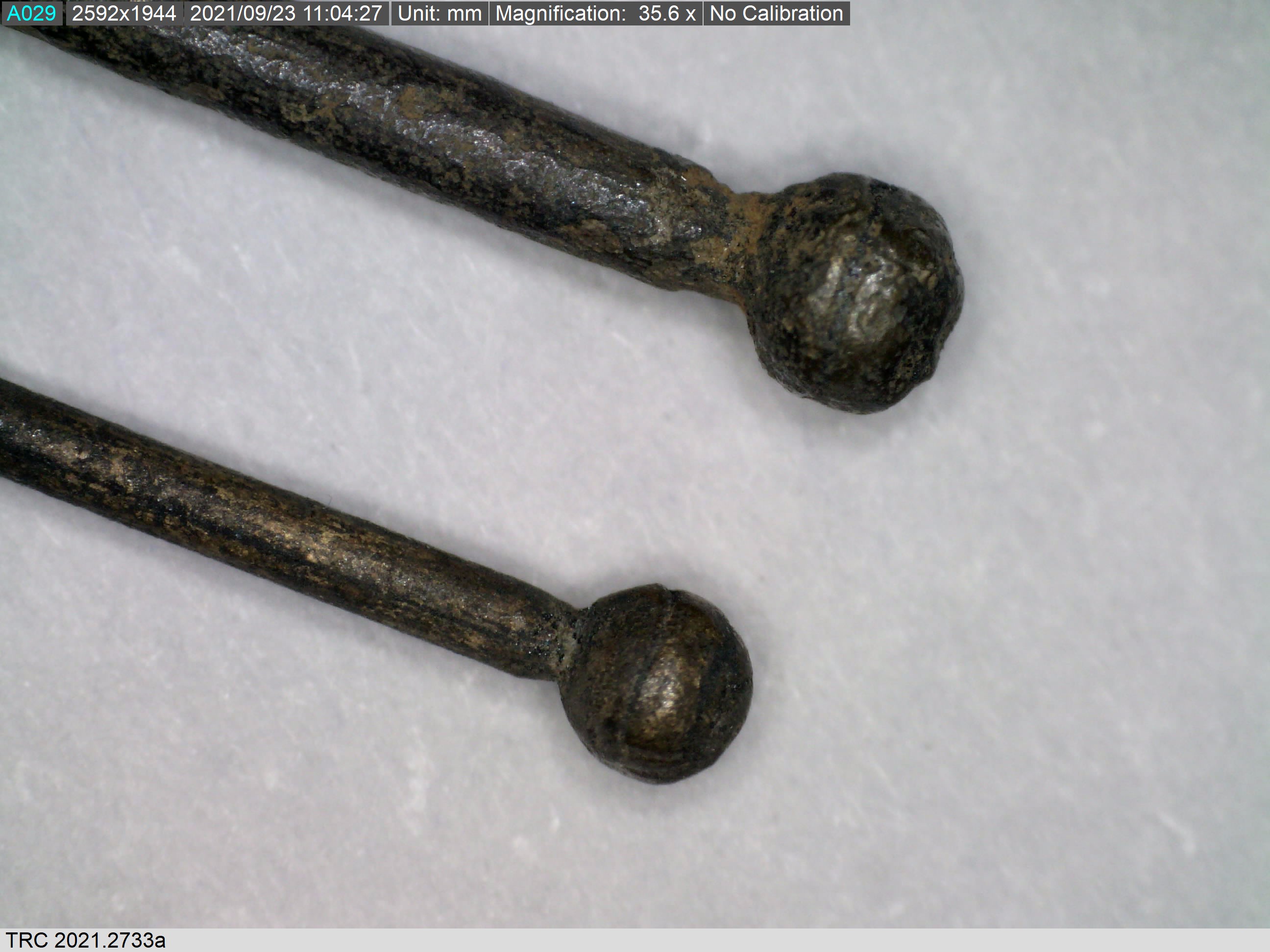 Indented shafts with wrapped heads. Zeeland, pre-1532. 35.6 magnification, Dino-Lite microscope (TRC 2021.2733a-b).