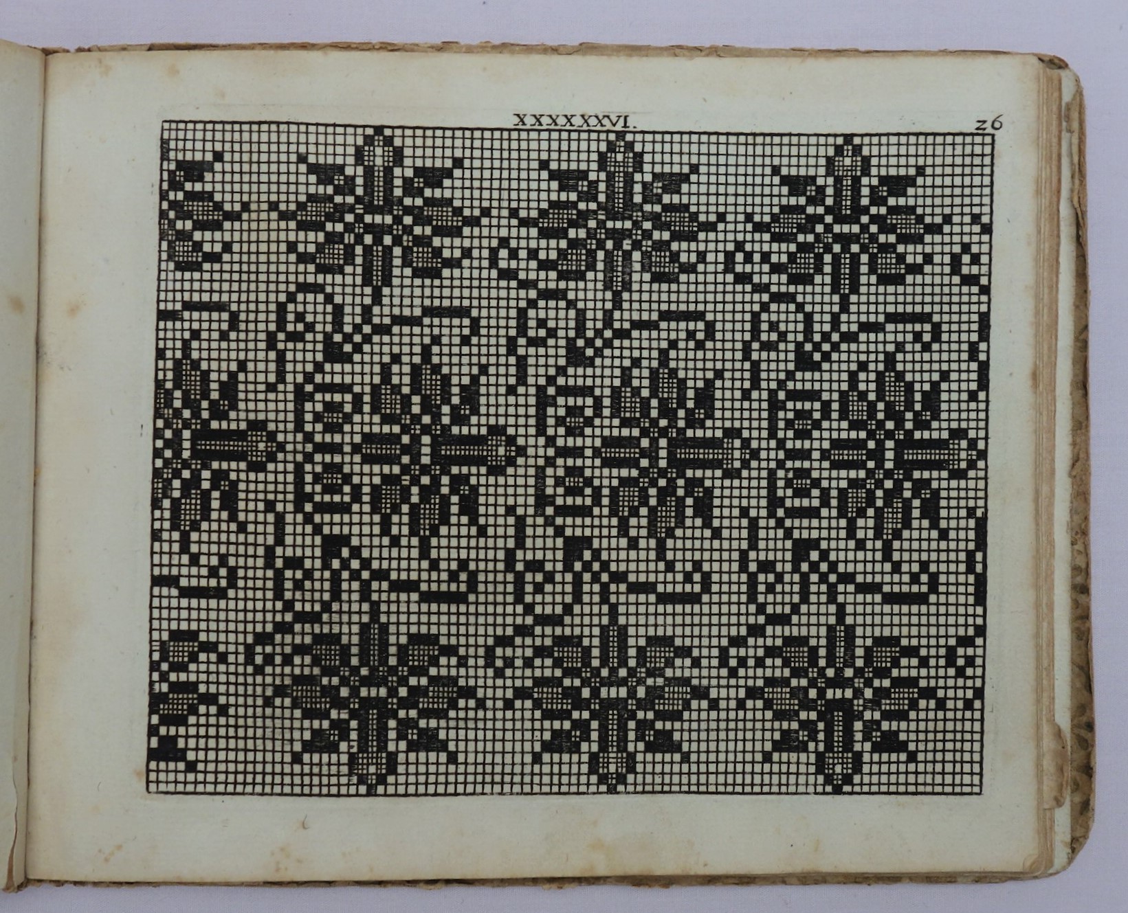 One of the charts from Paulus Fürst's embroidery model book (1666), with a repeat pattern of daffodils.