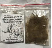 Plastic bag with mammoth hair (TRC 2023.1510).