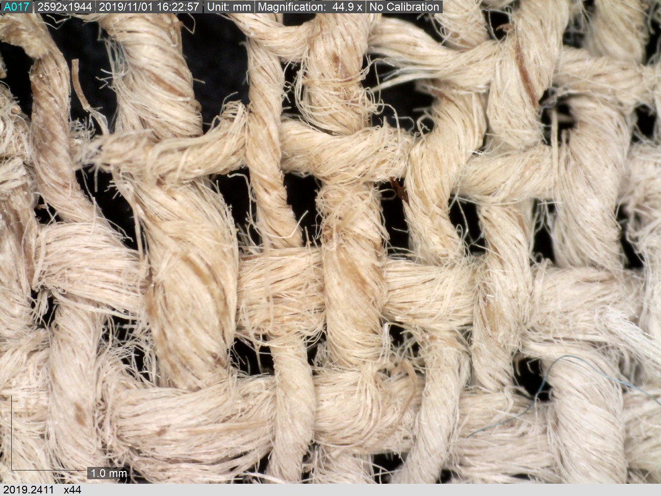 Detail of a textile from Qumran Cave 1. It was used to protect one of the Dead Sea Scrolls. It dates to between 3rd cent. BC and 1st cent. AD.  The textile is made of flax, with s-spun threads, and an open tabby weave (TRC 2019.2411). The photograph was made with a Dino Lite microscope, with a magnification of x49.9.