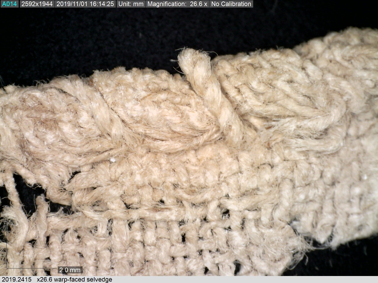 Detail of a textile from Qumran Cave 1. It was used to protect one of the Dead Sea Scrolls. It dates to between 3rd cent. BC and 1st cent. AD.  The textile is made of flax. The detail shows a rolled hem, with overcast stitching. The sewing thread is a 2-ply (Z,2s) (TRC 2019.2415). The photograph was made with a Dino Lite microscope, with a magnification of x26.6.