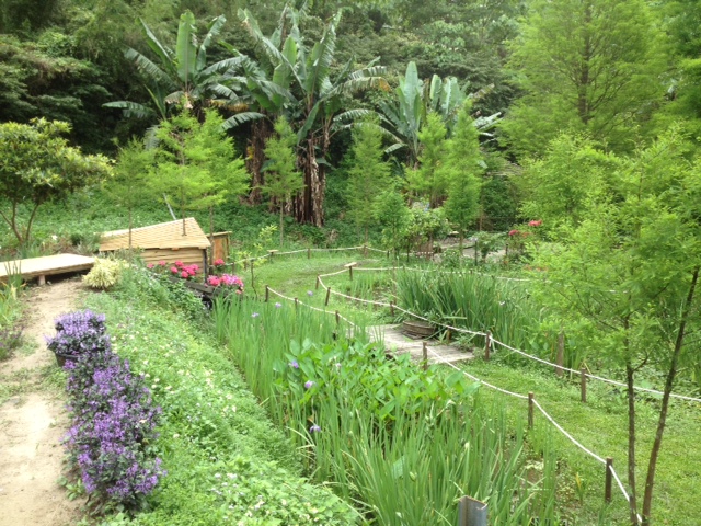 View of one of the gardens at the Zhuo Ye Cottage indigo dyeing centre, in Miaoli, Taiwan.