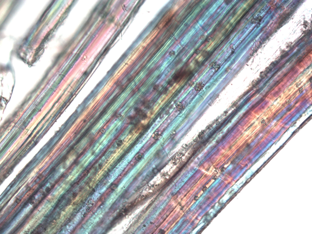 Gepolariseerde foto van hempvezels.