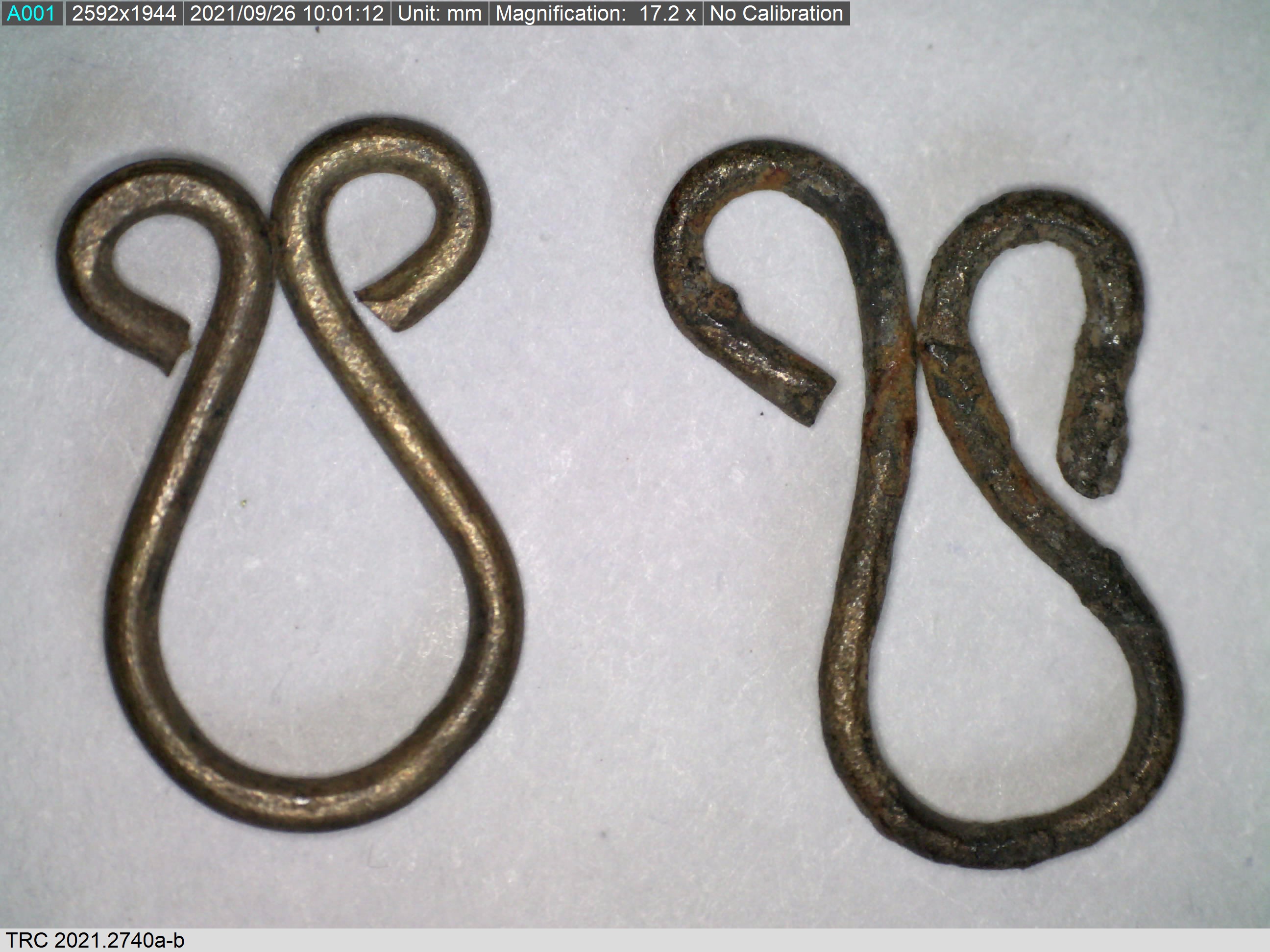 Two eyes with simple loops at the ends, Zeeland, before 1532. Magnification: 17.2 (TRC 2021.2740a-b).